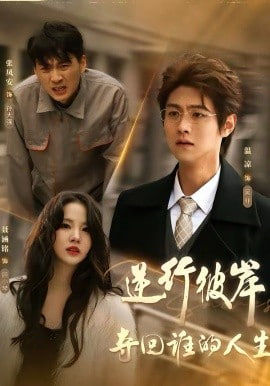 逆行彼岸夺回谁的人生封面图