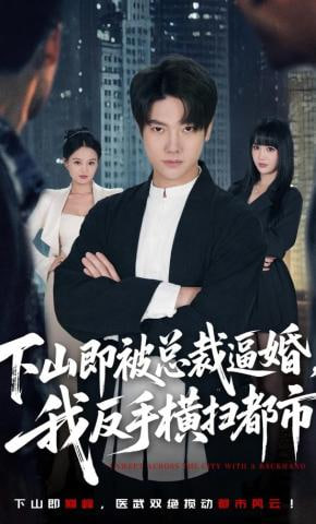 下山即被总裁逼婚，我反手横扫都市封面图