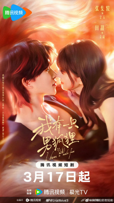 我有一只男狐狸封面图