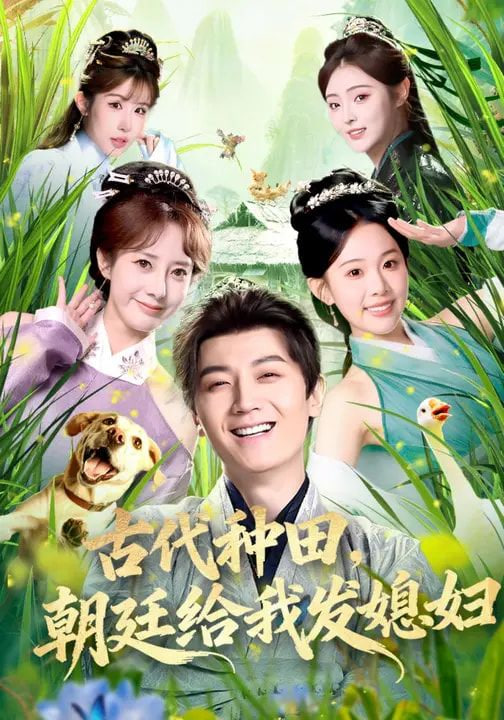 古代种田，朝廷给我发媳妇封面图