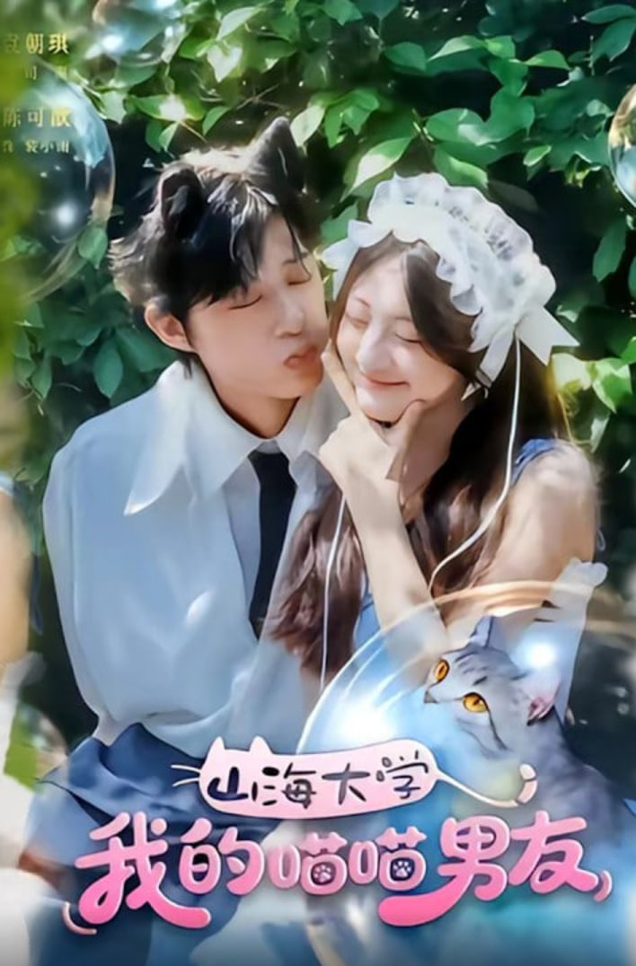 山海大学我的喵喵男友封面图