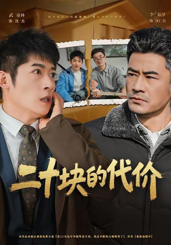 二十块的代价封面图