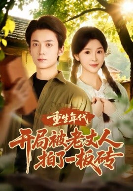 重生年代开局被老丈人拍了一板砖封面图