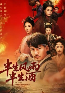 半生风雨半生酒封面图