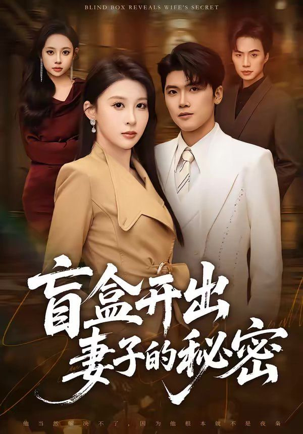盲盒开出妻子的秘密封面图