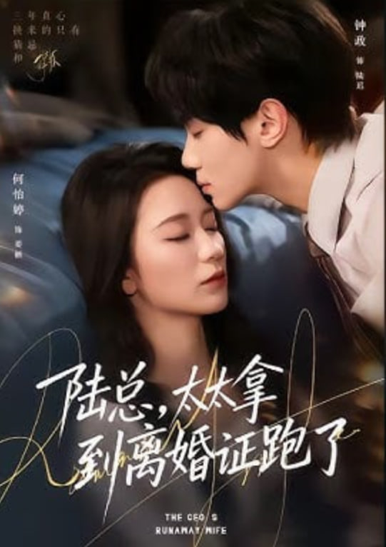 陆总，太太拿到离婚证跑了封面图