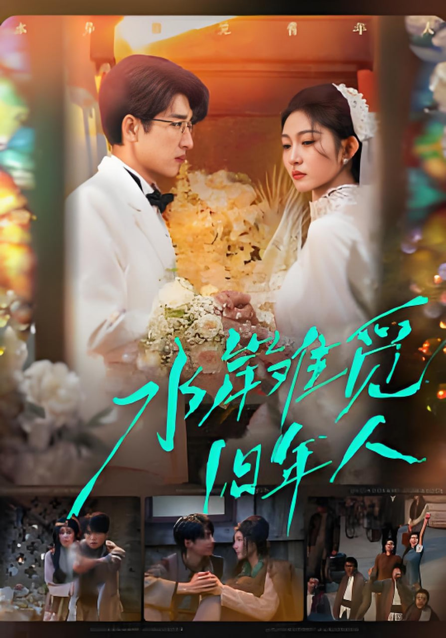 水岸难觅旧年人封面图