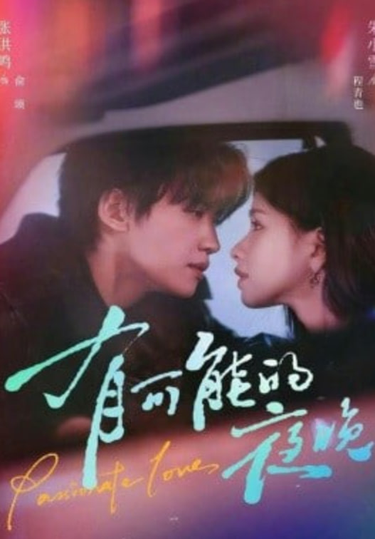 有可能的夜晚封面图