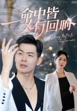 命中皆有回响封面图