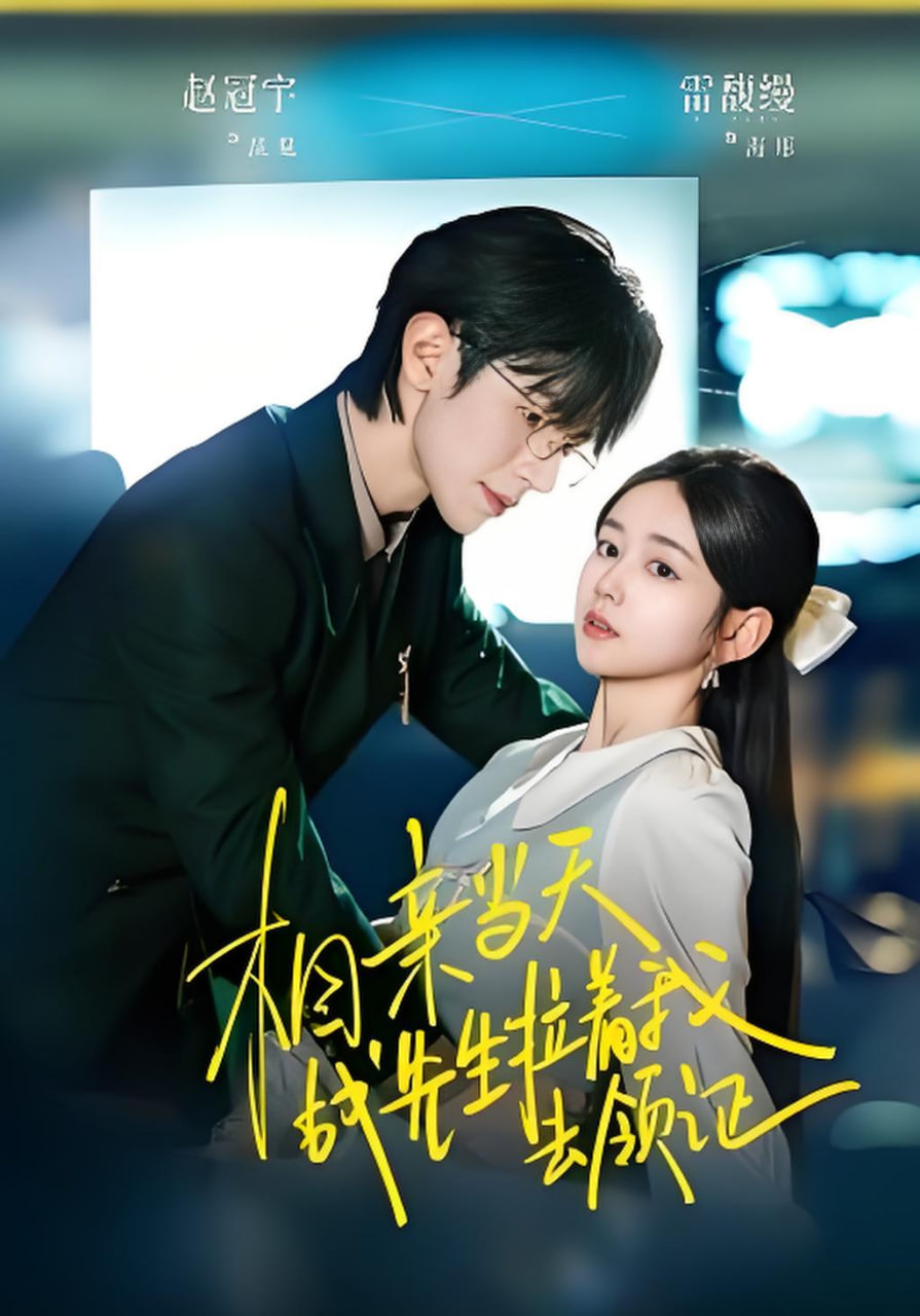 相亲当天战先生拉着我去领证封面图