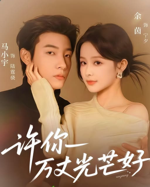 许你万丈光芒好封面图