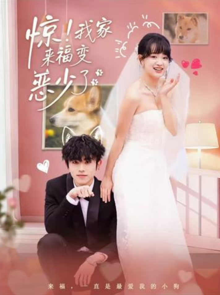 惊！我家来福变恶少了（忠犬变恶少）封面图