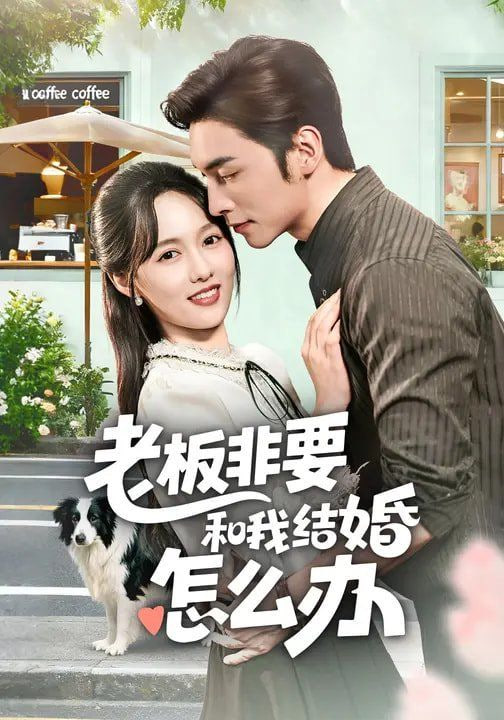 老板非要和我结婚怎么办封面图