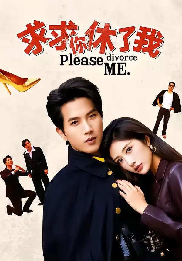 求求你休了我封面图