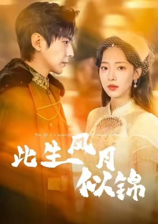 此生风月似锦封面图
