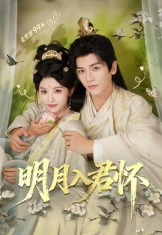 明月入君怀封面图