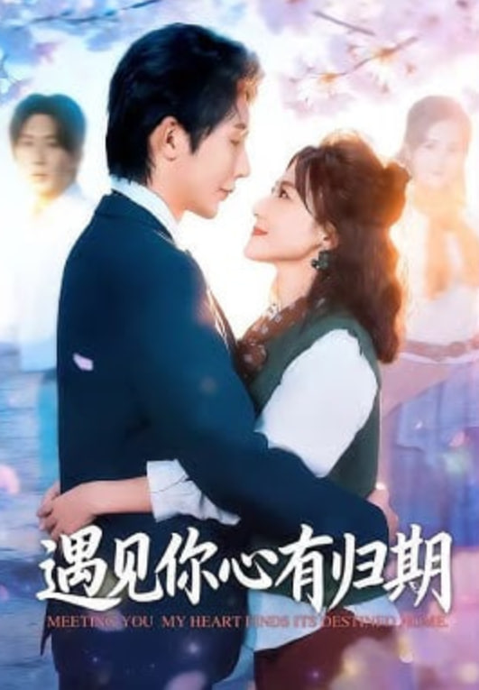 遇见你心有归期封面图