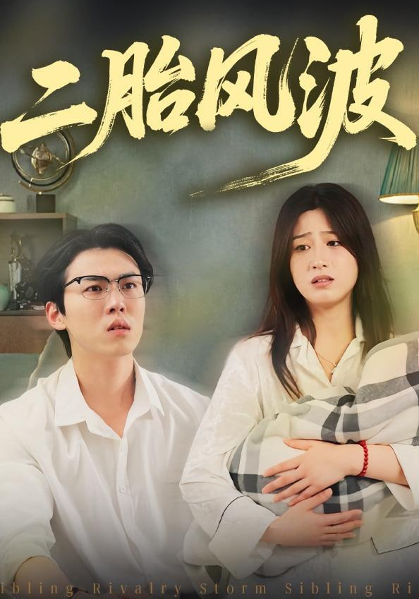 二胎风波封面图