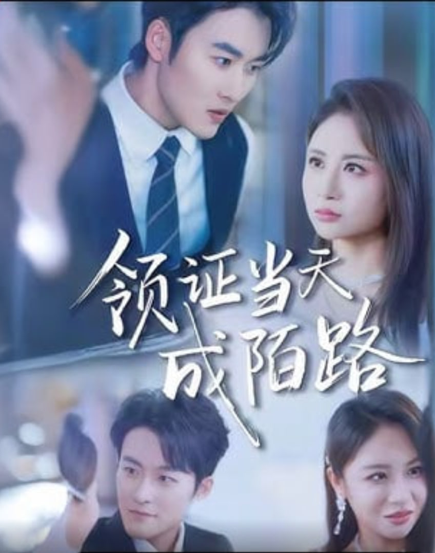 领证当天成陌路封面图
