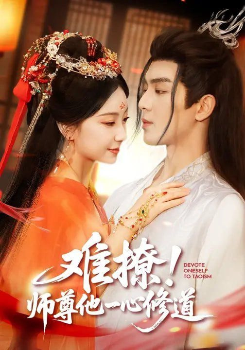 难撩！师尊他一心修道封面图