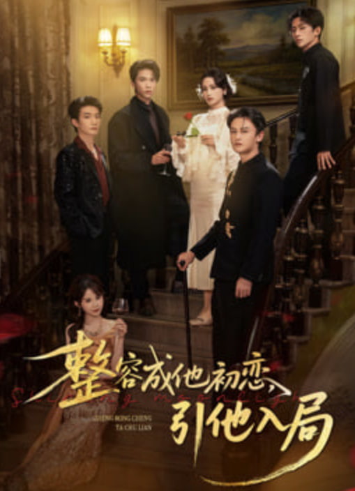 整容成他初恋，引他入局封面图