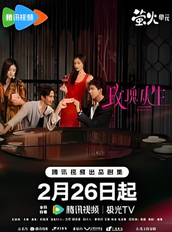 阴影中的爱封面图