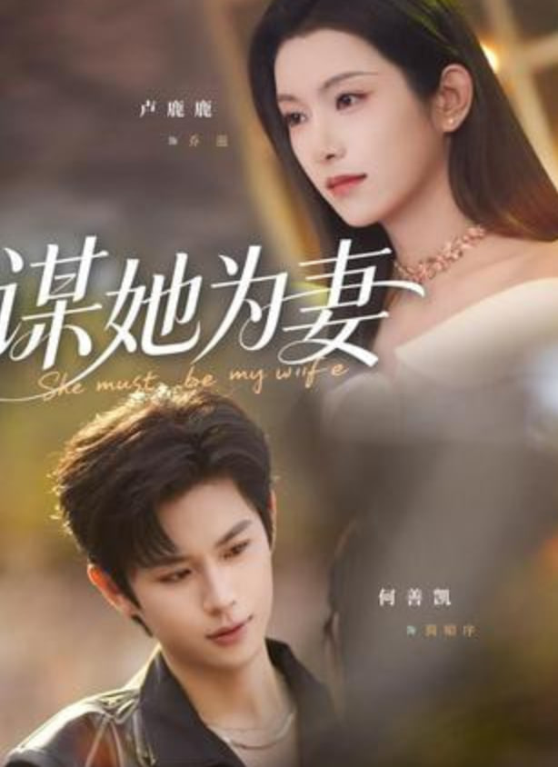 谋她为妻封面图