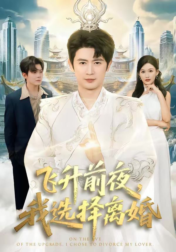 飞升前夜，我选择离婚封面图