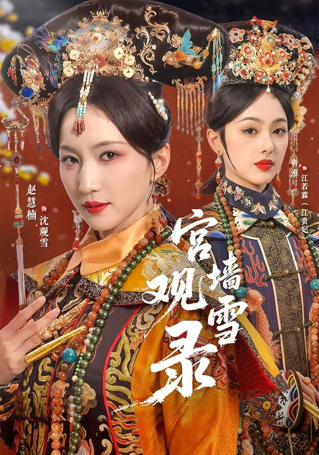 宫墙观雪录封面图