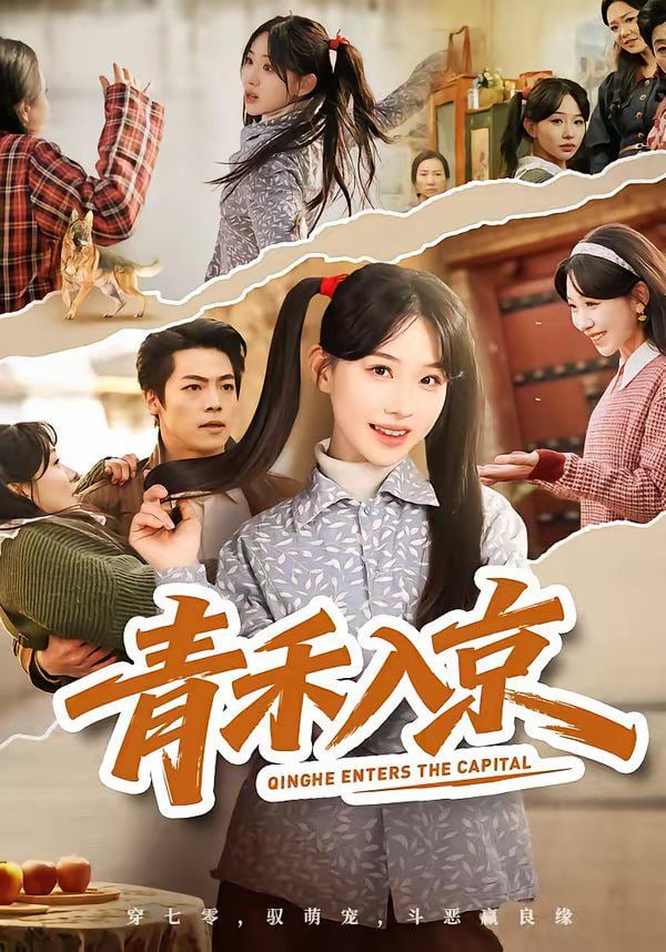 青禾入京封面图