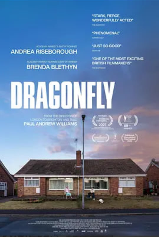 危情蜻蜓封面图