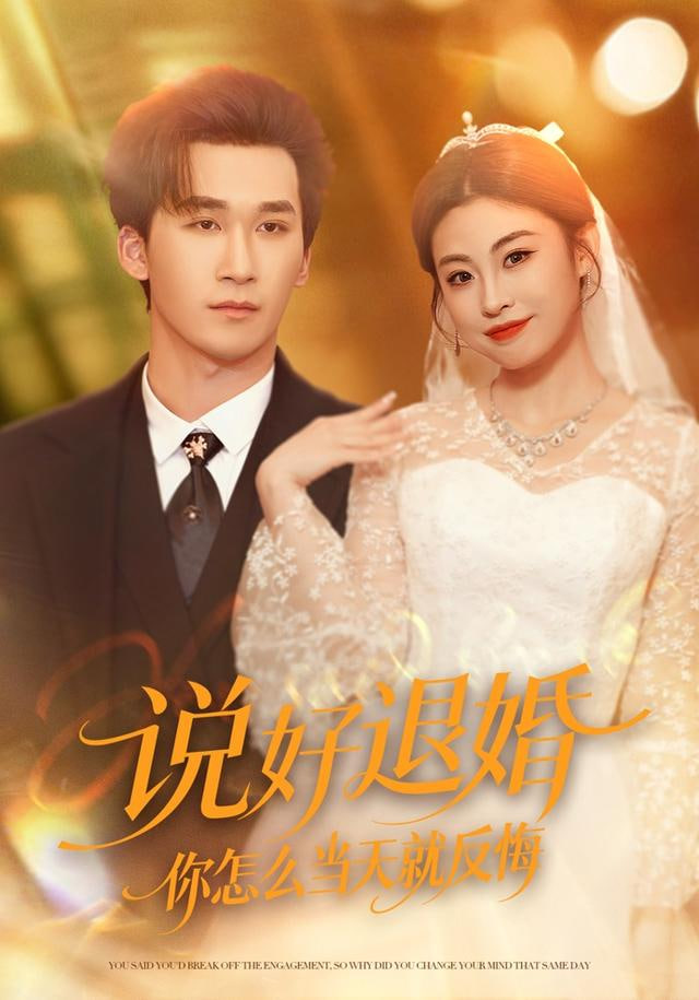 说好退婚你怎么当天就反悔封面图