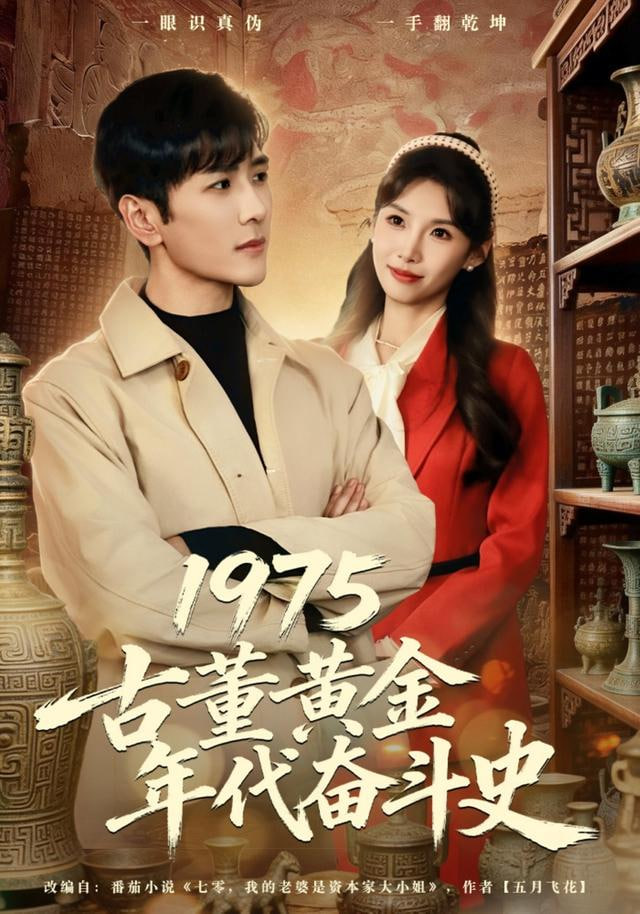 1975古董黄金年代奋斗史封面图