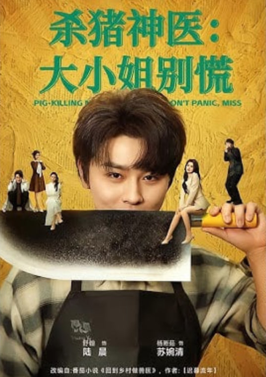 杀猪神医，大小姐别慌封面图