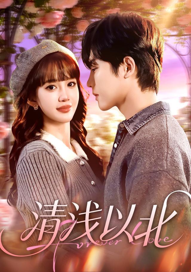 清浅以北封面图