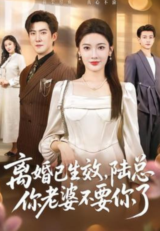 离婚已生效，陆总你老婆不要你了封面图