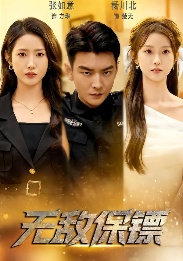 无敌保镖封面图