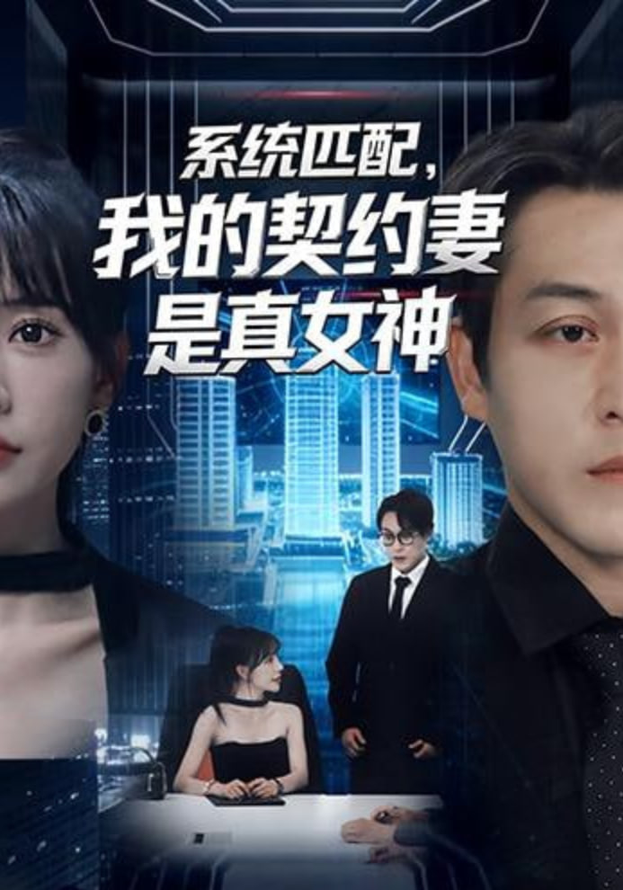 系统匹配，我的契约妻是真女神封面图