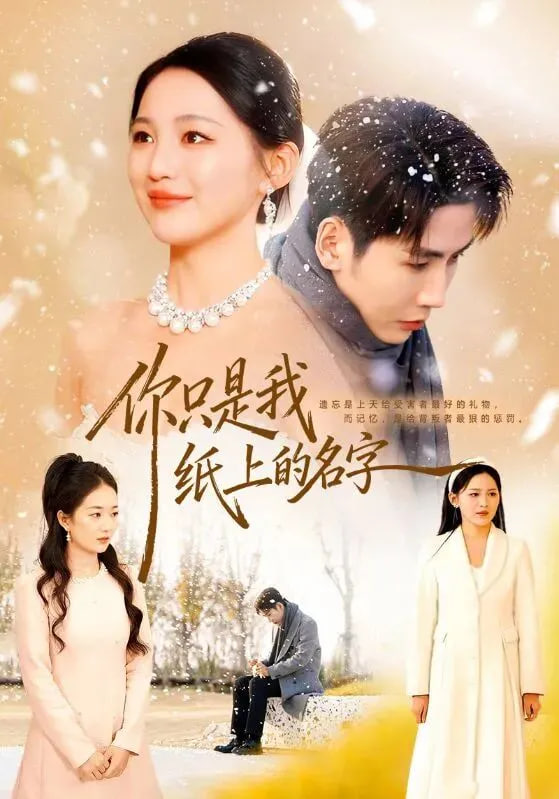 你只是我纸上的名字封面图