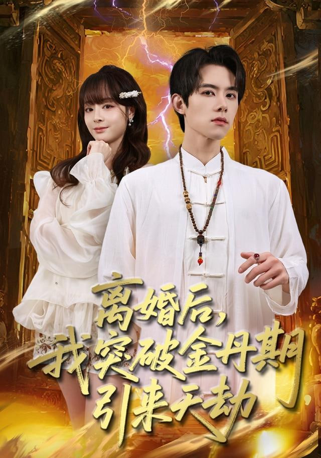 离婚后，我突破金丹期，引来天劫封面图