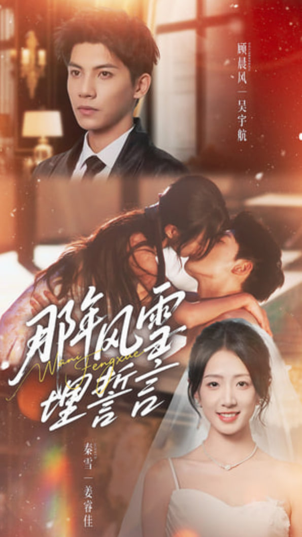 那年风雪埋誓言封面图