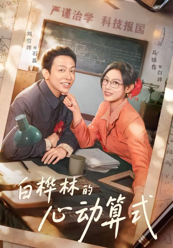 白桦林的心动算式封面图