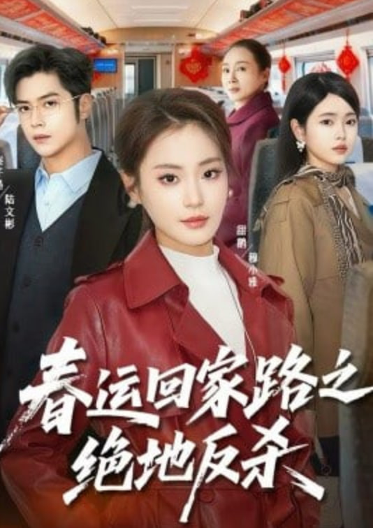 春运回家路之绝地反杀封面图