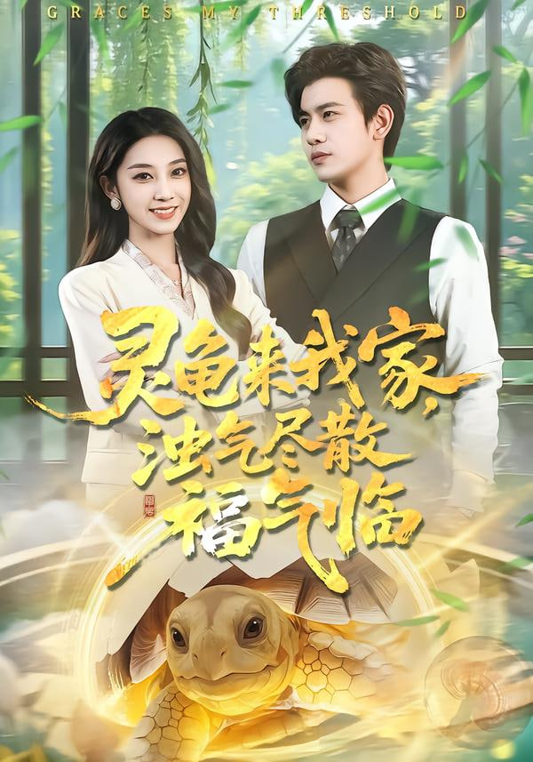 灵龟来我家，浊气尽散福气临封面图