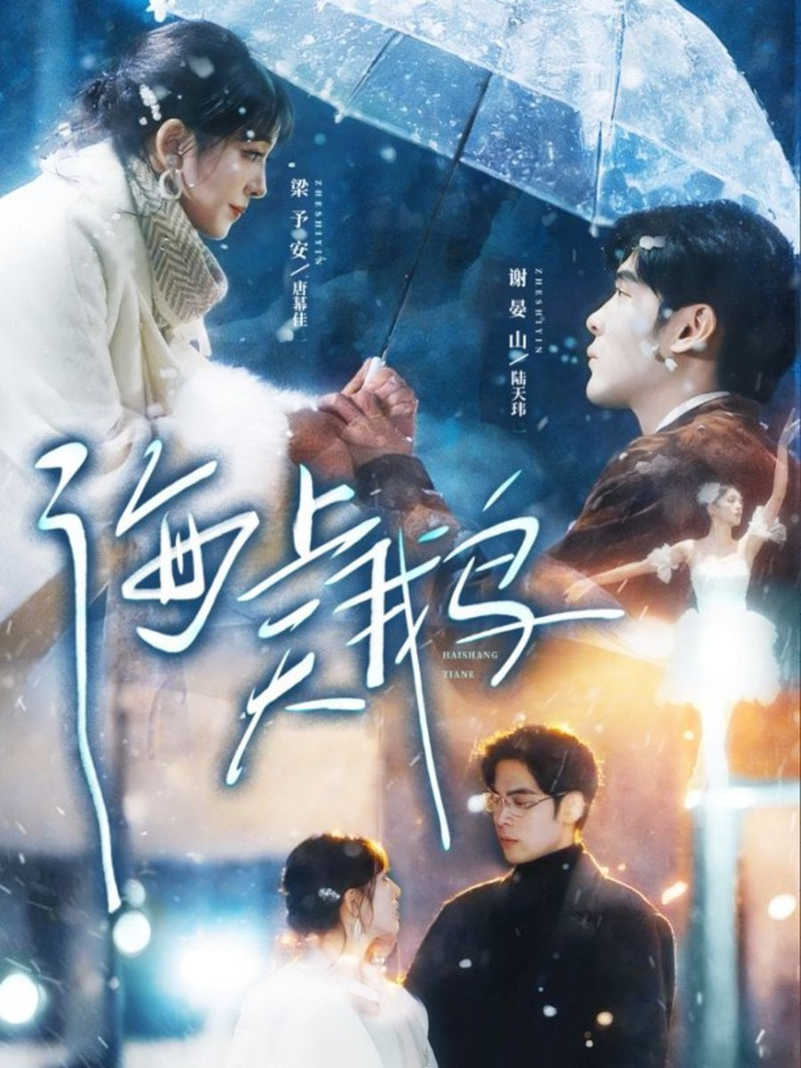 海上天鹅封面图