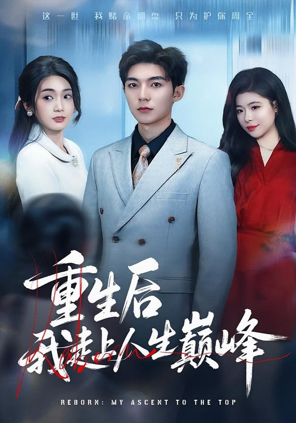 重生后我走上人生巅峰封面图
