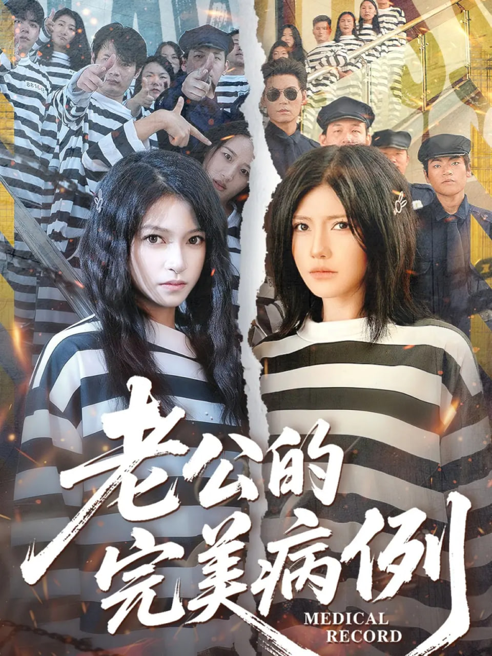 老公的完美病例封面图