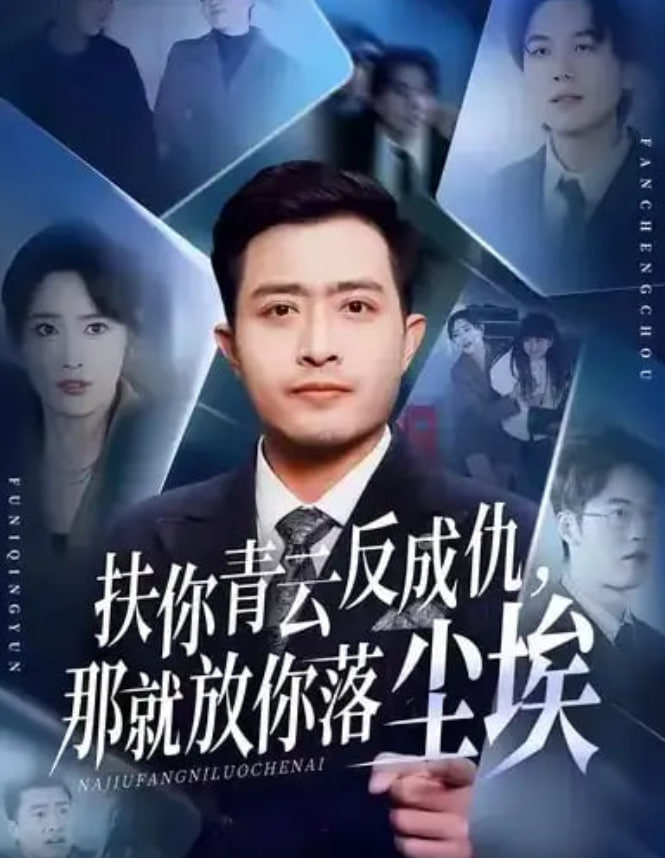 扶你青云反成仇，那就放你落尘埃封面图