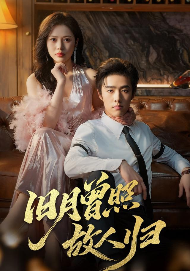 旧月曾照故人归封面图