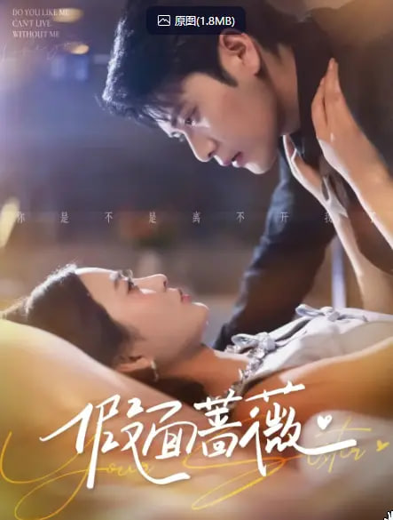 假面蔷薇封面图